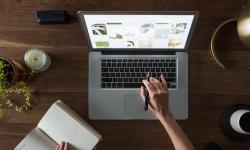 Featured image of post Blog
