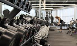 Featured image of post fitness-report